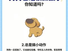 -美联众合动物医院·24h转诊中心