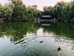 -北京动物园