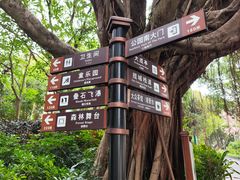 -金鸡山公园