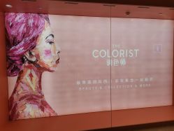 -THE COLORIST调色师