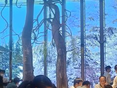 -桂满陇·海市蜃楼·黑金(国金店)