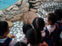-金豆子幼稚园