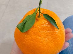 -海平馄饨(逍遥二路店)