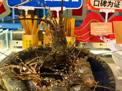 -南海渔村(珠江新城店)