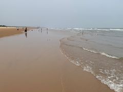 -日照海滨国家森林公园