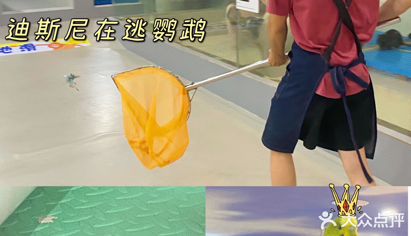 杭州探店｜打卡宝藏撸宠乐园！
