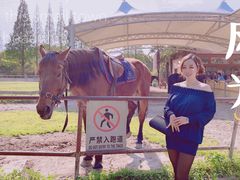 -太阳岛度假酒店