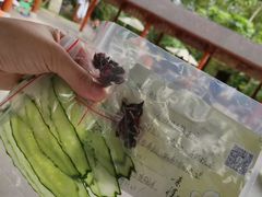 -碧水湾温泉