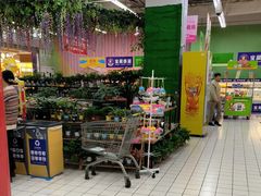 -大润发(张江店)