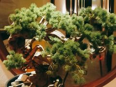 -福阳·足道养生会所(远大路店)