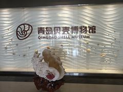 -青岛贝壳博物馆