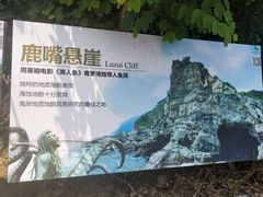 -杨梅坑