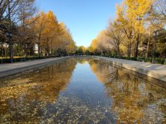 -玲珑塔公园