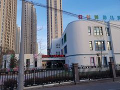 -红杉树紫金幼儿园