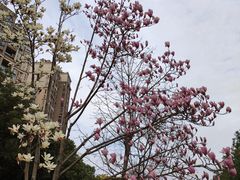 -白塘生态植物园