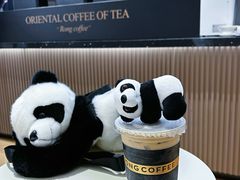 -蓉小乔·RONG COFFEE(春熙路店)