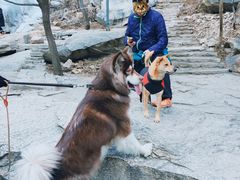 -黑龙潭风景区