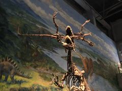 -自贡恐龙博物馆