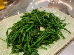 树菜-美极鲜食坊(宝安南路店)