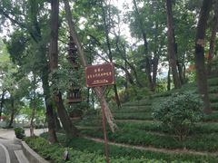 -子昂故里文化旅游区