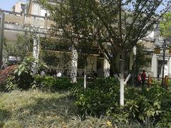 -古真记钵钵鸡(老公园店)