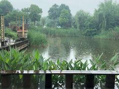 -天目湖涵田半山温泉