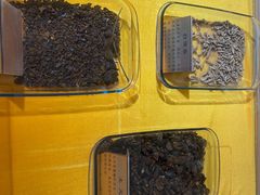 -上海昆虫博物馆