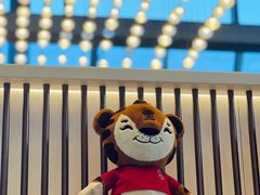 -奔驰上海利星(七宝店)