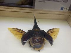 -天河城购物中心