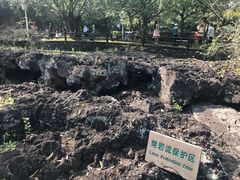 -海口火山口国家地质公园