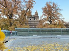 -北京石刻艺术博物馆(五塔寺)