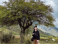 -石棉县孟获城