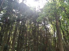 -青龙山国家森林公园