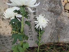-侵华日军南京大屠杀遇难同胞纪念馆-停车场