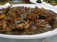 -泉龙渔村·粤式早茶·金牌烧鹅(中山三乡店)