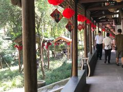-木子山庄·安徽省老字号·中国炖锅宴