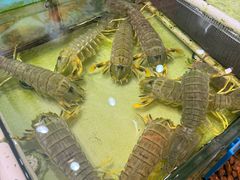 -强记海鲜·大排档(蛇口新街店)