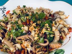 凉拌八爪鱼-富港会·海鲜酒楼(墟沟店)