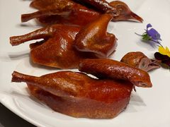 脆皮乳鸽-粤凤佬·臻品(朝阳公园店)