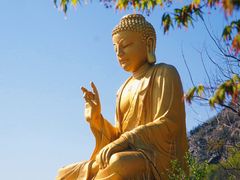-大伊山景区