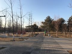 -北坞公园