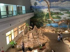 -自贡恐龙博物馆