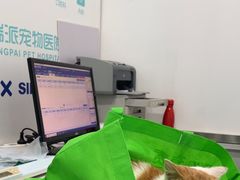 -瑞派宠物医院·内科·软组织·绝育中心(沈阳八纬路分院)