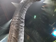 -侏罗纪世界电影特展(广州站)