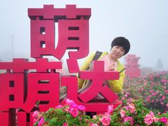 -伏羲大峡谷