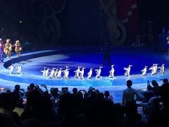 -珠海横琴长隆《卡卡虎奇遇记》