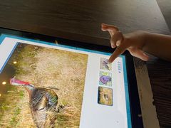 -贝林大翅鲸简餐厅(国家海洋博物馆店)