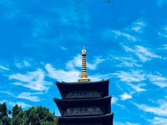 -农家大院