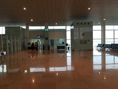-巴塞罗那约瑟·塔拉德利亚斯-埃尔·普拉特机场