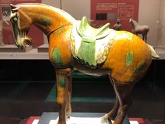 -宁夏博物馆